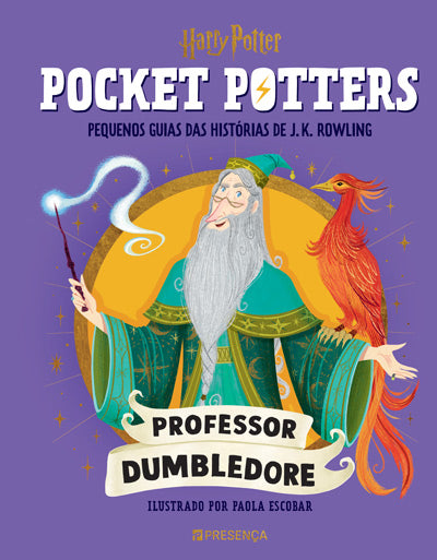 Harry Potter – Pocket Potters #1